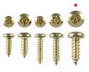 Wood screws 13mm x 4.2mm Pan head Pozi Steel Brass plated pack 200