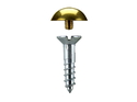 Mirror Screws Dome 19mm x 4.2mm Brass pack 50