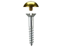 Mirror Screws Dome 25mm x 4.2mm Brass pack 50