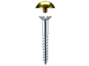 Mirror Screws Dome 32mm x 4.2mm Brass pack 50