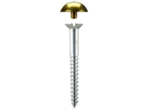 Mirror Screws Dome 38mm x 4.2mm Brass pack 50