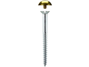 Mirror Screws Dome 50mm x 4.2mm Brass pack 50