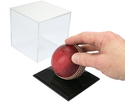 Cricket Ball Display Case