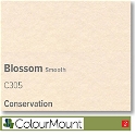 Colourmount Conservation White Core Blossom Smooth Mountboard 1 sheet