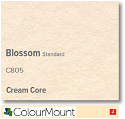ColourMount Blossom 1.25mm Cream Core Mountboard 1 sheet