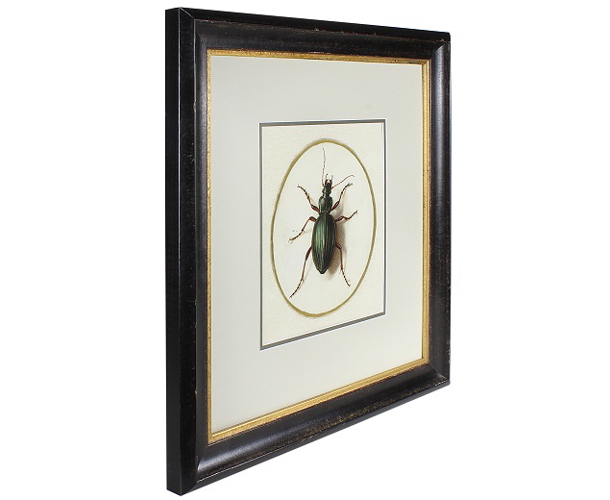 48mm 'Fino' Antique Black/Gold Frame Moulding